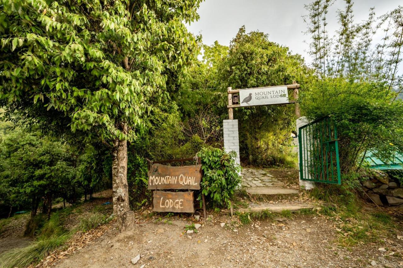 Hotel Mountain Quail
